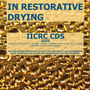 CDS Cliff Notes cover